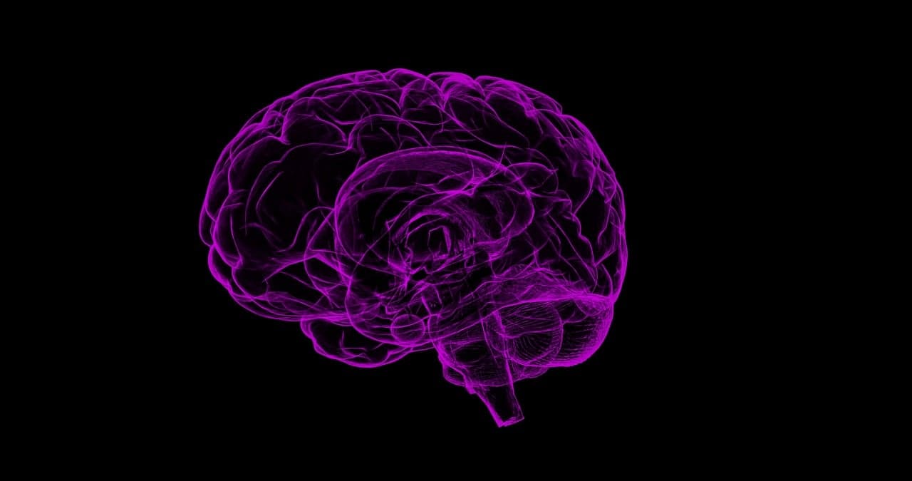 Magyar kutatók vizsgálták, hogy mi történik az agy memóriaközpontjában ijesztő ingerek hatására