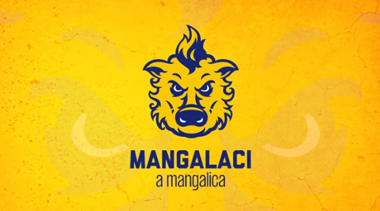 Megvan a DAC új kabalafigurája: Mangalaci, a mangalica (VIDEÓ)