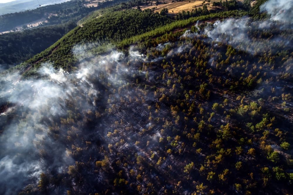 Oltották az erdőtüzeket, a munka közben meg lezuhant a török légierő repülőgépe